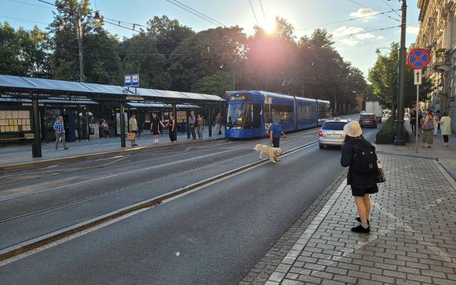 Szef stowarzyszenia proponuje rewolucyjną zmianę w centrum Krakowa. To wielkie ułatwienie dla pieszych 