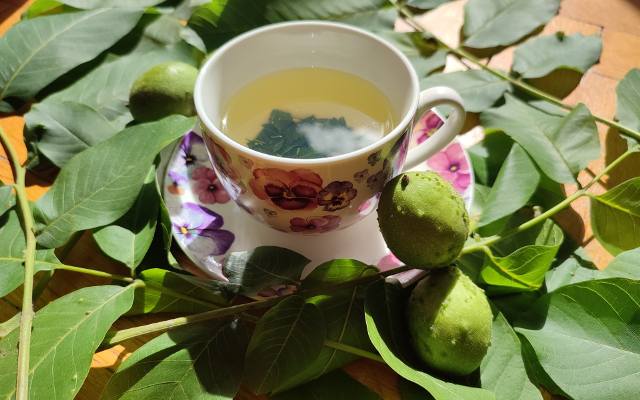 Ta herbatka pomoże na biegunkę i dnę moczanową, obniży poziom cukru we krwi. Wypróbuj prosty przepis na napar z liści orzecha włoskiego