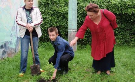 Izabella Mosańska, opiekunka szkolnego teatru instruowała uczniów podczas sadzenia drzewek