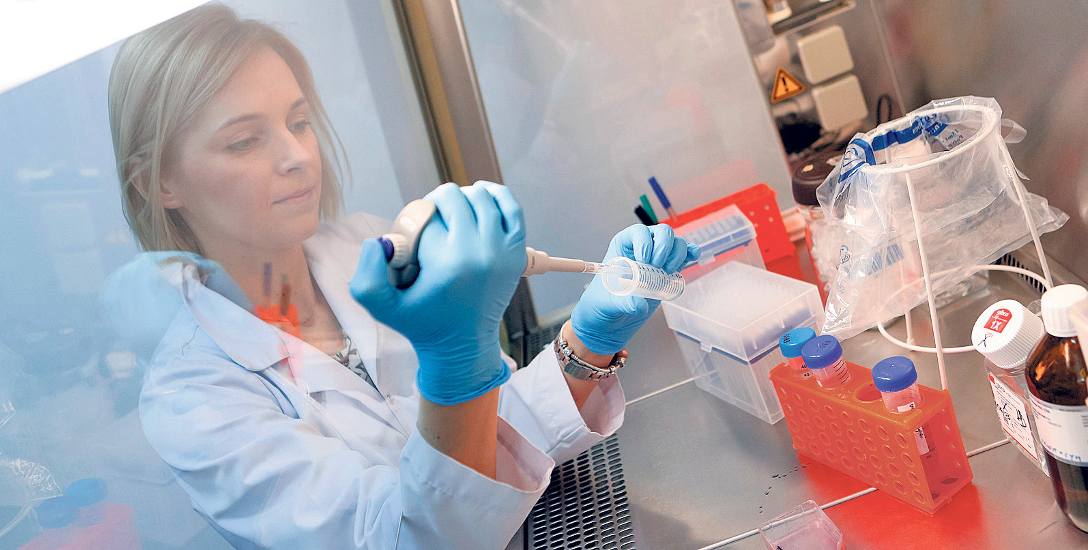 Dr Małgorzata Kus-Liśkiewicz w laboratorium hodowli komórek. W rankingu ministerialnym biotechnologia UR zajmuje czołową pozycję, tuż za Wydz. Biologii