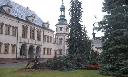 Przewrócone przez wichurę drzewo przed Pałacem Biskupów Krakowskich w Kielcach