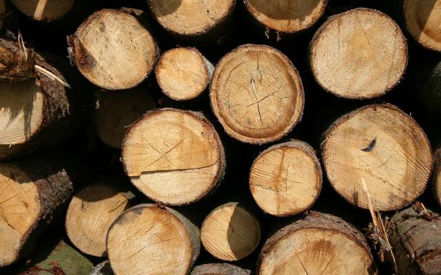 Jak długo trzeba suszyć drewno do palenia? Jak sprawdzić, czy jest wystarczająco suche? Dzięki temu unikniesz mandatu
