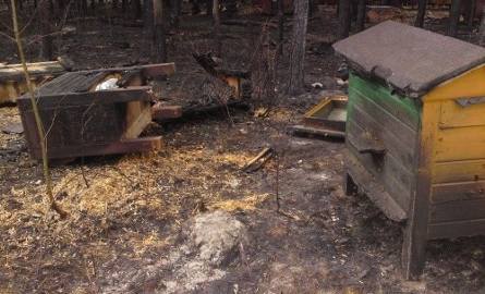 Potężny pożar w Starachowicach. Ogień strawił ogromną pasiekę z pszczołami