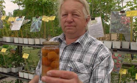 Jerzy Arseniuk przekonuje, że owoce jarzębiny są piękną ozdobą, ale też są smaczne i zdrowe i należy je jeść