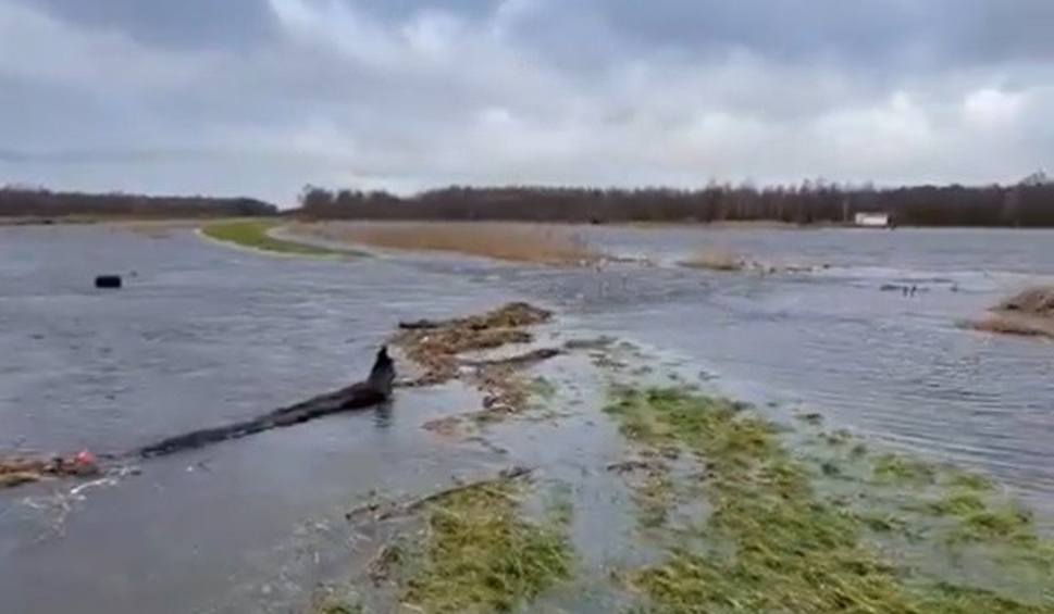 Film do artykułu: Rzeka Łeba przerwała wał w okolicy miejscowości Poraj w gminie Wicko w powiecie lęborskim. Czy istnieje ryzyko podtopienia?