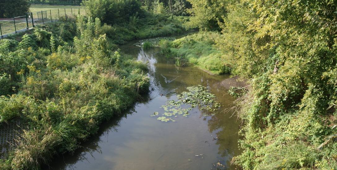 Rzeka Skierniewka ma wyznaczone dwa pomiarowe punkty kontrolne.