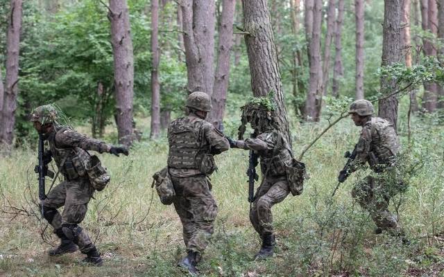 Tyle zarabiają polscy żołnierze. Zobacz, jakie są zarobki w wojsku  w 2023 roku. Sprawdź listę płac na wszystkich stopniach