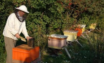 Pszczelarstwo to największa pasja Zbigniewa Palucha.