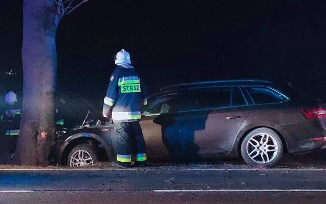 Wypadek w gminie Skała. Stado saren wbiegło przed samochód, który potem wjechał w drzewo. Kierowca trafił do szpitala