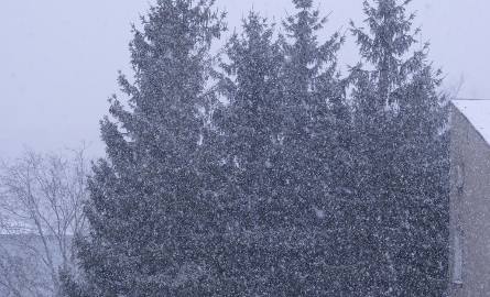 Zdjęcie zimy w Stargardzie, które wysłał do nas Internauta Arkog.