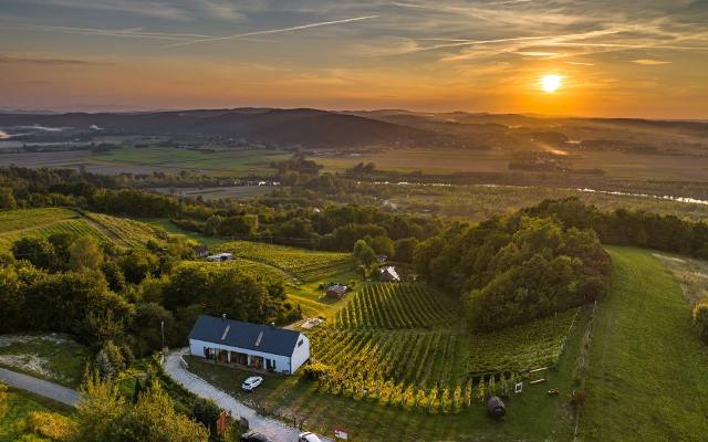 Okolice Tarnowa to Polska Toskania. Region słynie z pięknie położnych winnic, które zapraszają do tego, aby je odwiedzać 