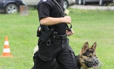 Policjant musiał pokazać, że jego pies jest mu posłuszny i chodzi przy nodze.