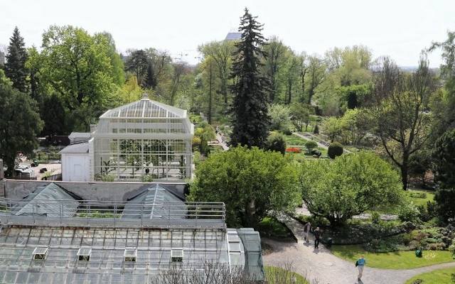 Blisko 6,7 mln zł dofinansowania na odbudowę oranżerii w Ogrodzie Botanicznym Uniwersytetu Jagiellońskiego