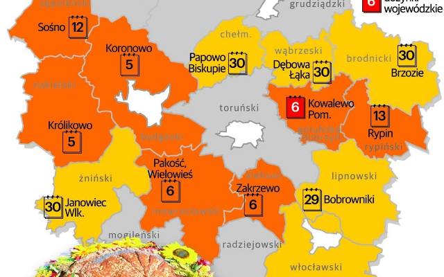 Dożynki powiatowe 2015 w Kujawsko-Pomorskiem. Zobacz gdzie i kiedy [MAPA]