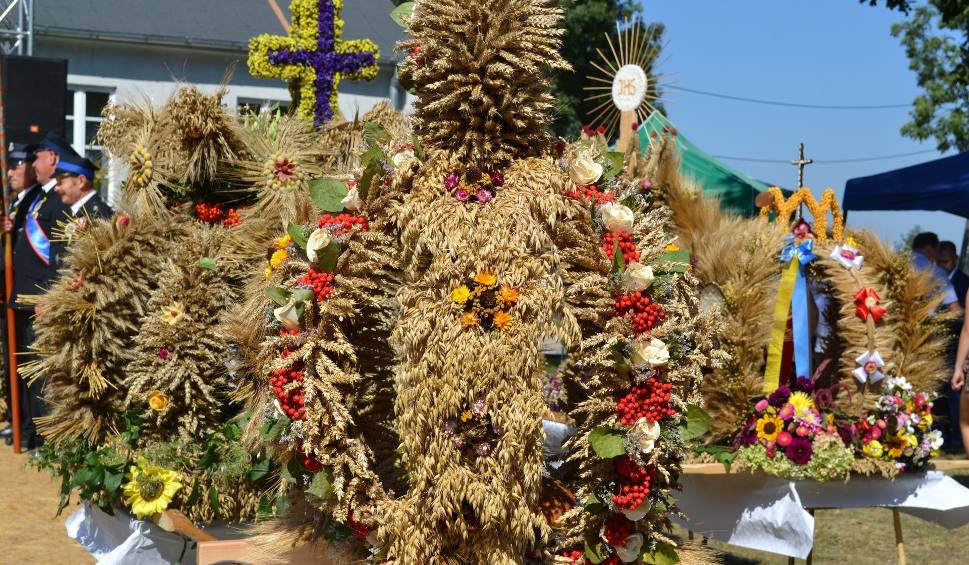 Kujawsko Pomorskie Dożynki 2018 Wojewódzkie Już W Niedzielę W Wąbrzeźnie Pomorskapl 4854