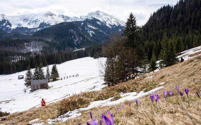 Wielkanoc 2024 w Tatrach. Gdzie na świąteczny weekend z dziećmi w Tatrach? Zobacz ciekawe szlaki dla całych rodzin
