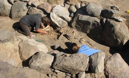 Pod Gniewkowem odkryto grobowiec sprzed 6 tysięcy lat