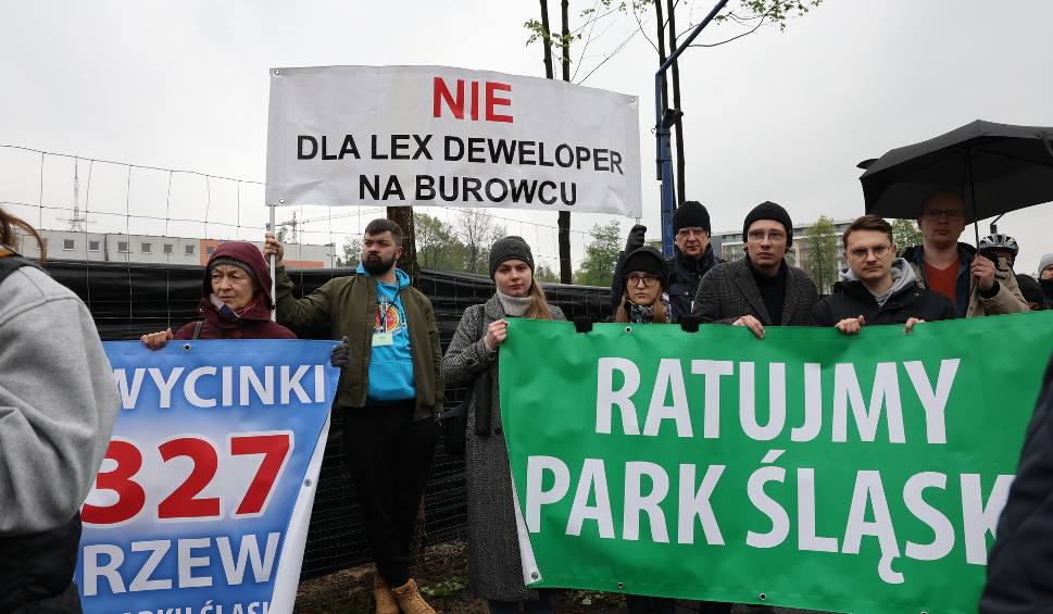 Film do artykułu: Protest w obronie Parku Śląskiego. Mieszkańcy przeciwni wycince drzew w Chorzowie. Zobaczcie ZDJĘCIA