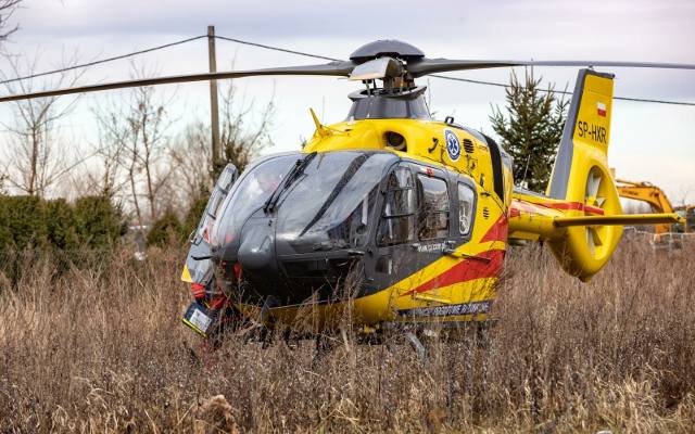 Atak os w Przylasku Rusieckim w Krakowie. Do pożądlonego mężczyzny wezwano śmigłowiec LPR