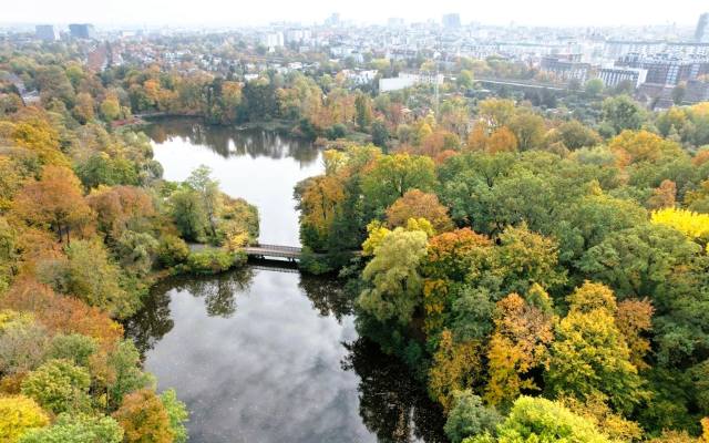 Oto najpiękniejsze parki i ogrody w Poznaniu. Tu odpoczniesz od zgiełku miasta. Sprawdź ranking!