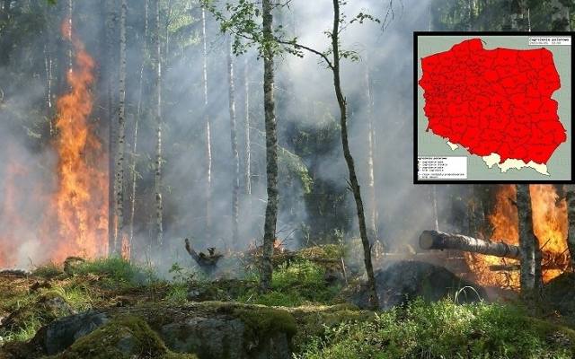 Ogromne zagrożenie pożarowe w Polsce. Opublikowano mapę zagrożonych terenów. Cały kraj pokryty czerwonym kolorem
