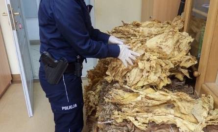 Włostów. Policjanci przejęli 100 kilo tytoniu 