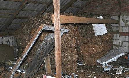 Ukryte pomieszczenie w stodole, gdzie uprawiane były konopie indyjskie, zaliczana do roślin narkotycznych.