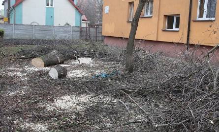 Najwięcej drzew znikło przy bloku przy ulicy Planty 25 A.