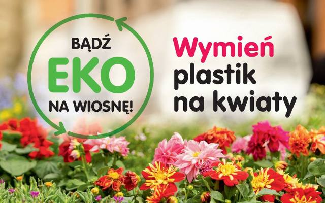 Przynieś plastik, zabierz roślinę. Wyjątkowa akcja w Poznaniu. “Bądź eko na wiosnę”