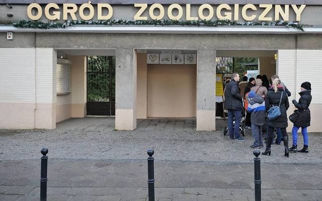 Stare Zoo Poznań: 144. urodziny ogrodu. Pracownicy zapraszają do wspólnego świętowania