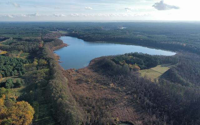 Najbrudniejsze jeziora w Polsce - w tych jeziorach lepiej się nie kąpać [29.07.2024]