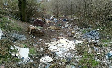 Dzikie wysypisko śmieci w centrum Zielonej Góry