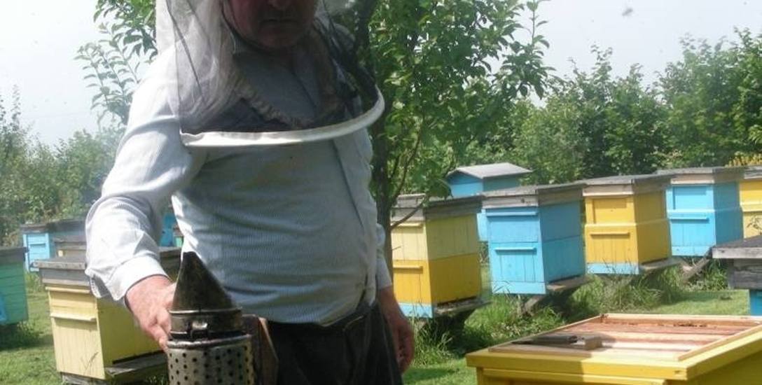 Stacjonarna szkoła dla pszczelarzy od września rusza w Prudniku