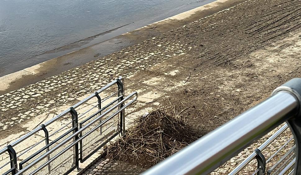 Film do artykułu: Wody na gorzowskich bulwarach już nie ma, ale wciąż są zamknięte. Warta wyrządziła szkody, trzeba je naprawić 