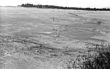 Pustynia Błędowska, przełom lat 20 i 30. XX wiekuOlbrzymi pustynny obszar był także od wczesnych lat XX wieku wykorzystywany jako poligon. Podczas I