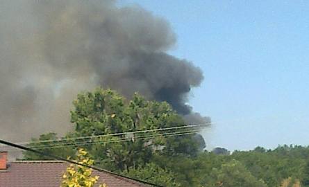 Wielki pożar lasu w gminie Solec nad Wisłą. Płonie 40 hektarów!