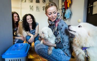 W fordońskim salonie psiej piękności „Rufi”, należącym do Ewy i Marty Weselskich, zorganizowano akcję pomocową. Panie nie tylko zbierają dary dla zwierząt,