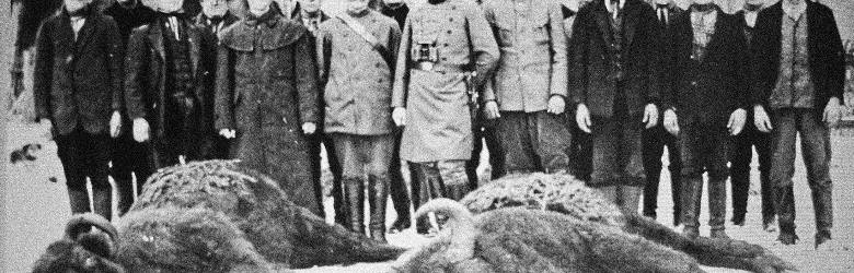 Wspaniałe polowania, m.in. na żubry, w pszczyńskich lasach należących do książęcego rodu Hochbergów były słynne w całej Europie (zdjęcie z 1901 r.)