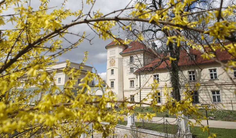 Film do artykułu: Piękna wiosna wokół zamku Potockich w Łańcucie [ZDJĘCIA, WIDEO]