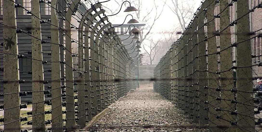 Niezwykły dar dla Muzeum Auschwitz