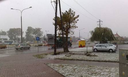 Ludzie nie mają prądu, drzewa tarasują drogi - atak zimy w Łomży