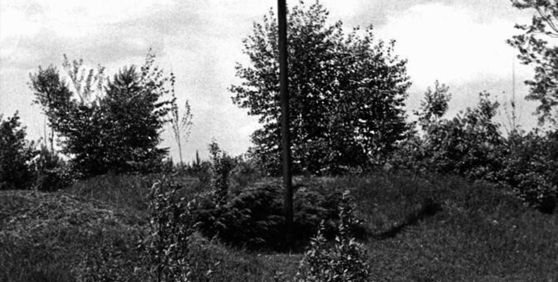 Krzyż postawiony na terenie obozu w Pustkowie, którym podczas wojny zginęło 15 tys. ofiar.