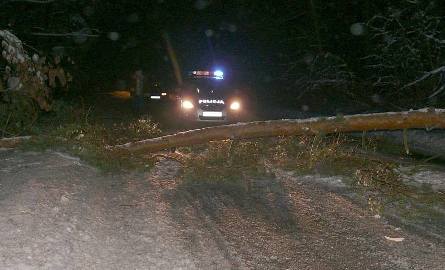 Drzewa łamały się tarasując drogi. Na zdjęciu droga wojewódzka Chmielnik – Osiek w okolicach Wiśniówki. jedno z takich drzew doprowadziło do tragedii