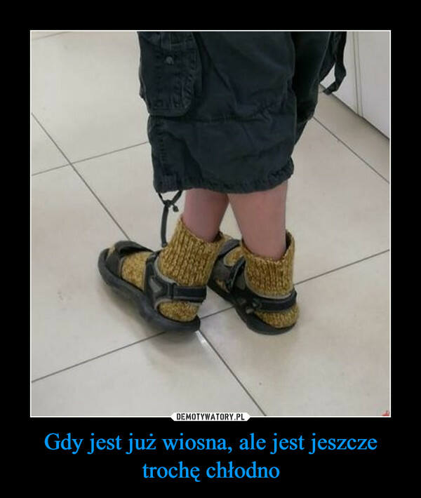 Co z tą pogodą?! Internauci tworzą śmieszne obrazki o zmiennej aurze. Zobacz najlepsze MEMY o pogodzie