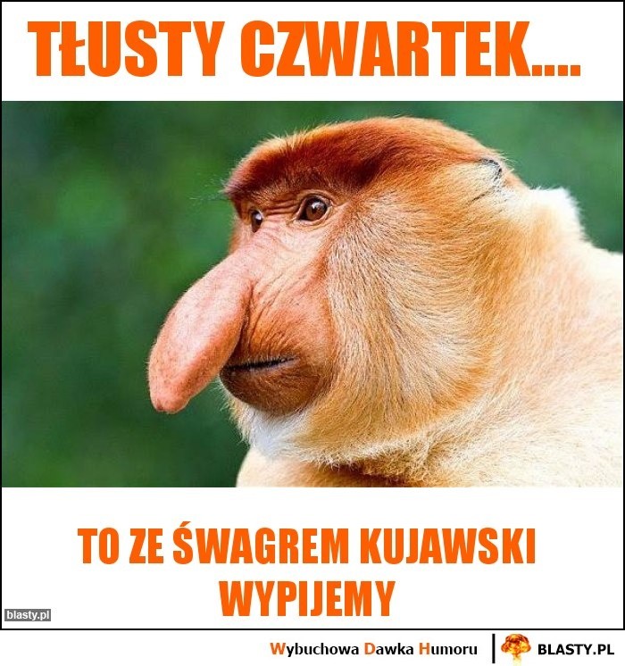 Gify i memy na Tłusty Czwartek 2020: Bądź jak Al Pączino ...