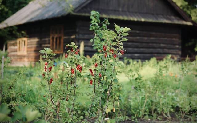 Oni też mają swoje Błonia. Piękny park niedaleko od Krakowa. Czarodziejskie zielone miejsce