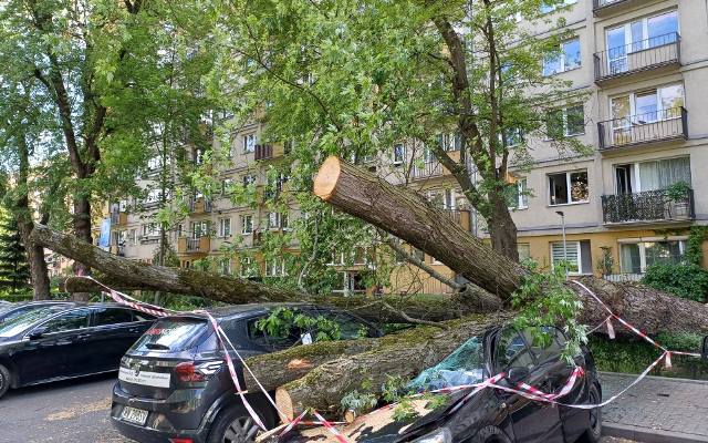 Dramat przy ulicy Racławickiej. Drzewo przygniotło samochody