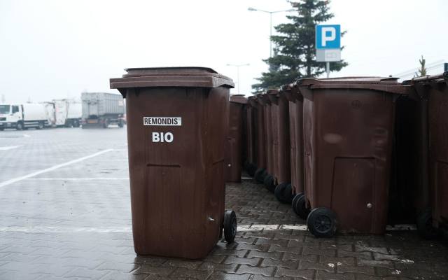 Segregacja odpadów: Jak segregować odpady BIO? Gdzie je wyrzucać w Poznaniu i okolicach? Co zaliczamy do odpadów BIO? Sprawdź [GOAP, Selekt]