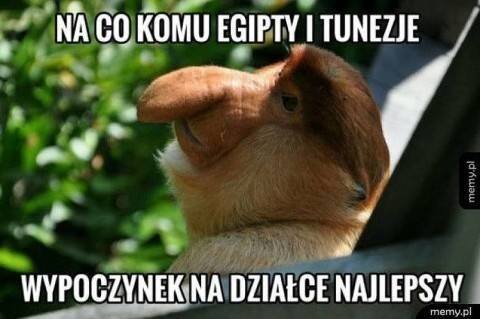 Memy na upał 2026. Lato dopiero się zaczęło, ale tropikalne temperatury już dają się we znaki. Jak tu się nie śmiać upałów