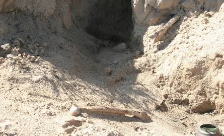 Ludzkie szczątki poniewierają się w Piotrkowie Kujawskim (zdjęcia)